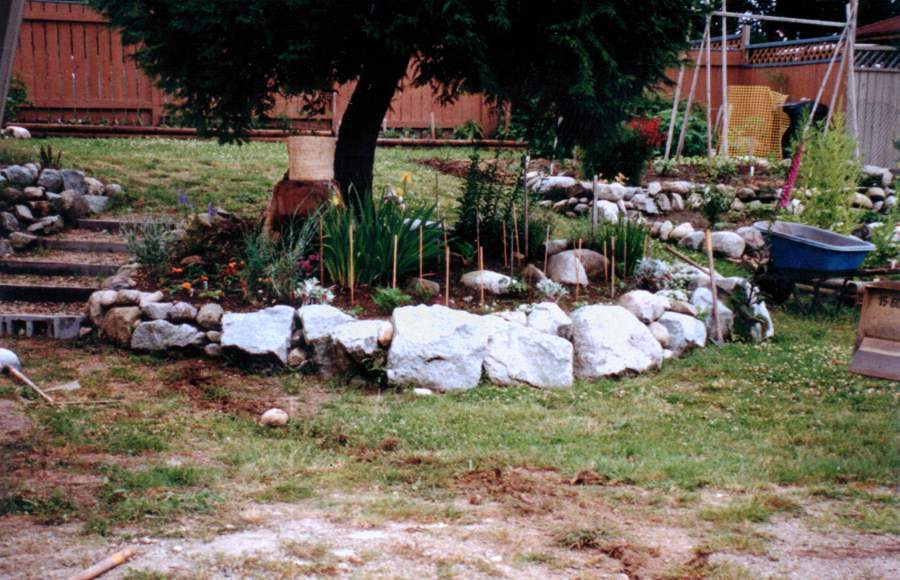 a garden with rocks surrounding it.